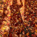 普段と変わらない三連休